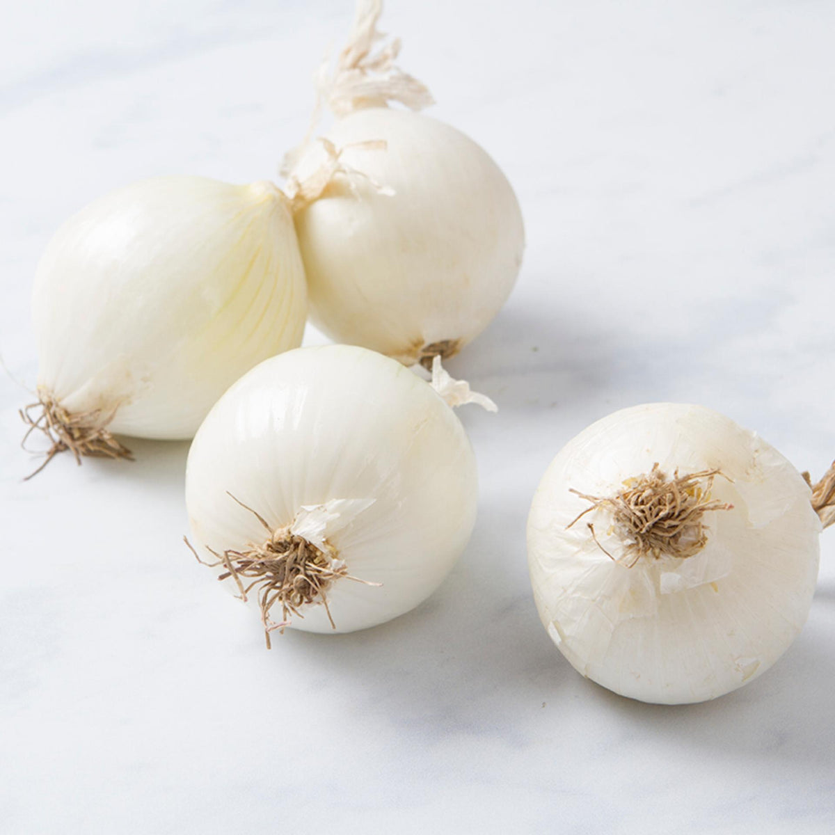 Cipolle Bianche 500 Grammi