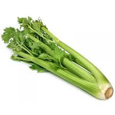 Green Celery 1 Piece