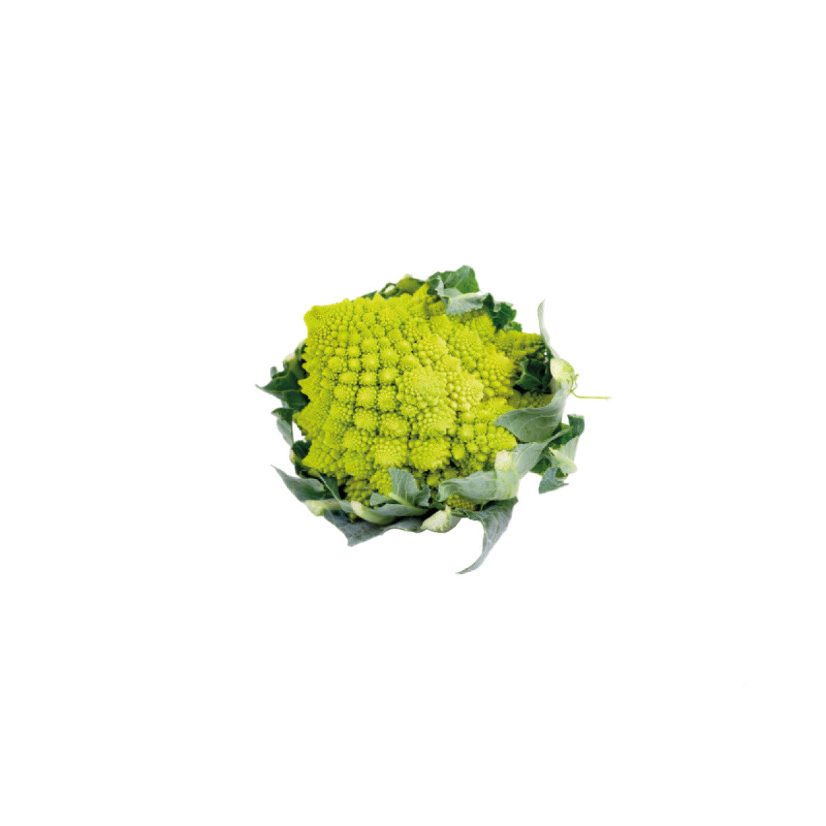 Cavolfiore Romanesco 1 Pezzo