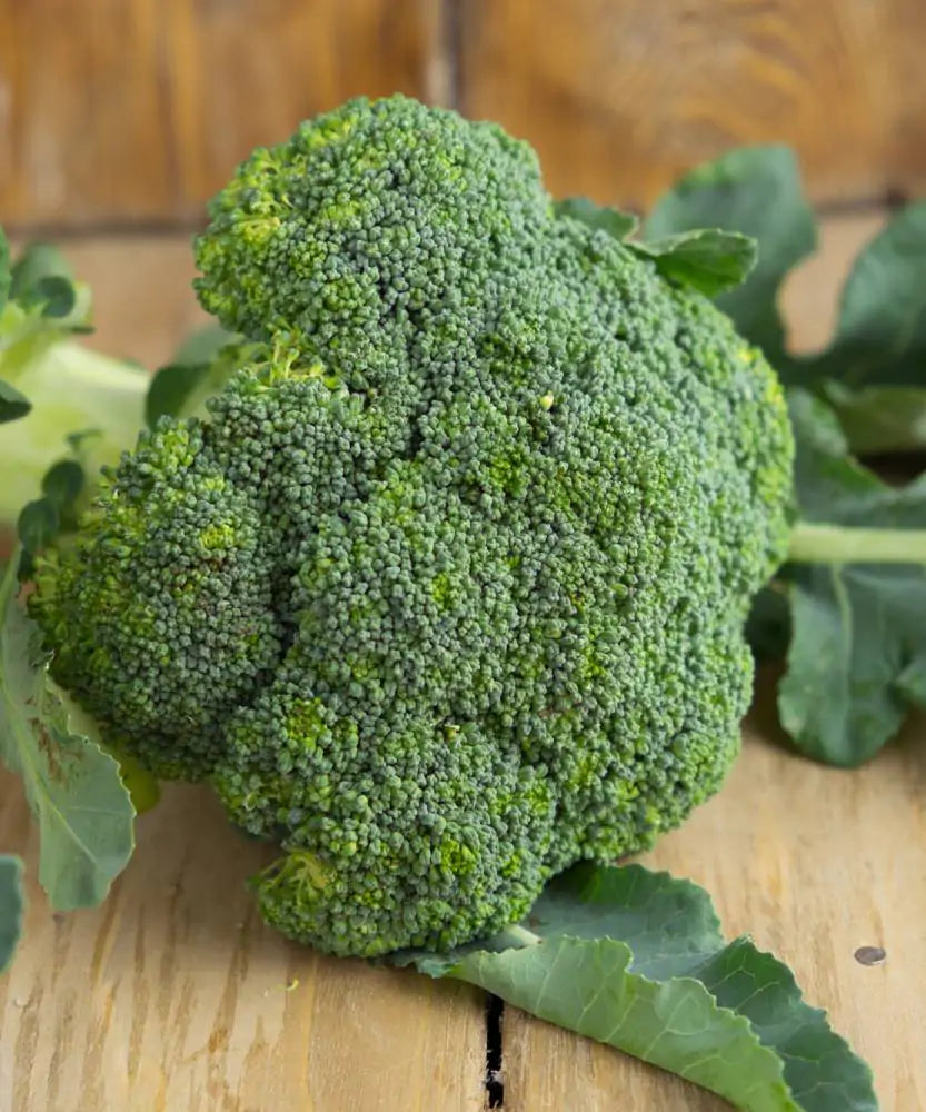 Broccoli 500 Grammi