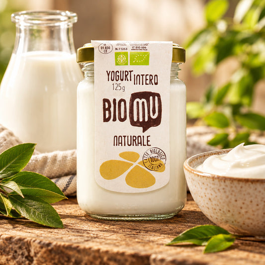 Yogurt Naturale 125 Grammi