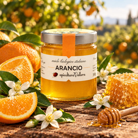 Melata di Arancio Bio 250 Grammi
