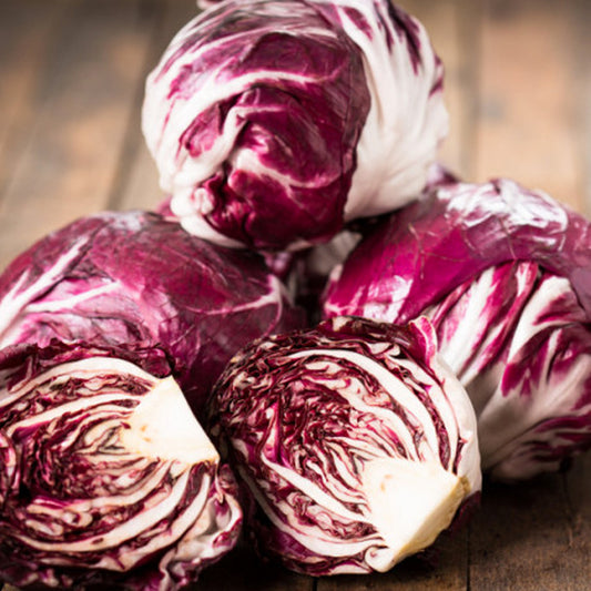 Radicchio Tondo di Chioggia 500 Grammi