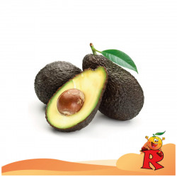 Avocado Hass