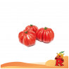 Pomodori Cuore di Bue