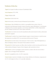 Nebbiolo d'Alba Doc - Az. Agricola Cravanzola