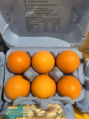 Uova Medie Allevate a Terra 6 Pezzi