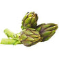 Carciofi Spina 1 Pezzo
