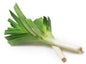 Leeks 1 kg