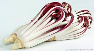 Radicchio Tardivo 500 Grammi