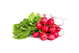 Radishes 1 bunch