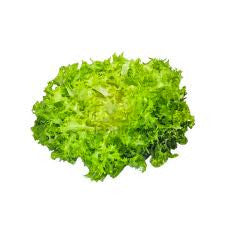 Scarola Riccia 1 Testa