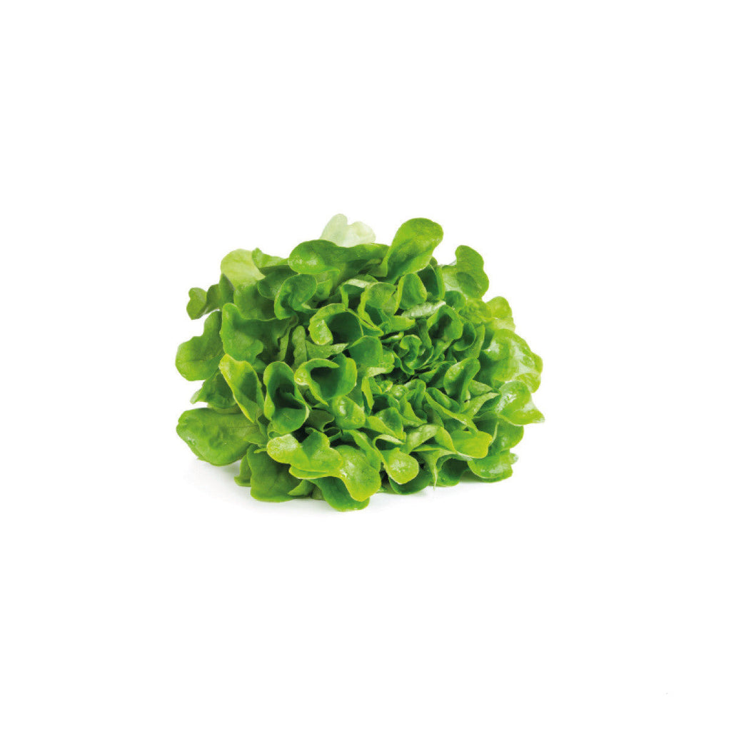 Insalata Filippina 1 Testa