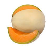 Melone Liscio 1 Frutto