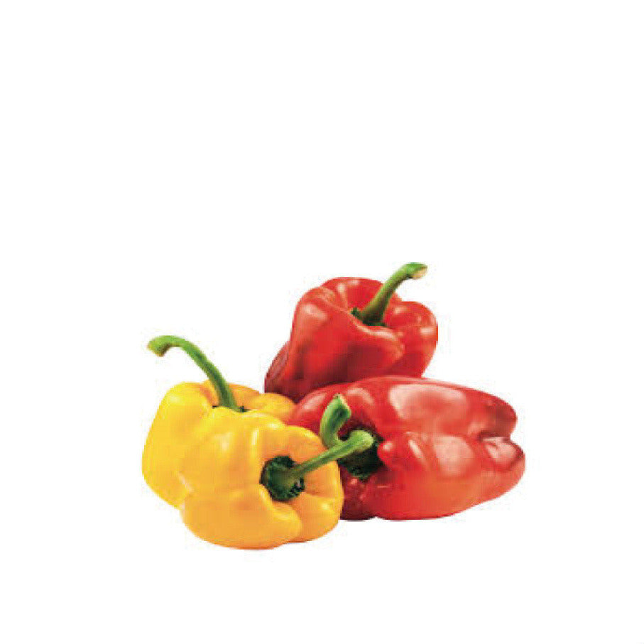 Peperoni Italia Misto Colore 500 Grammi