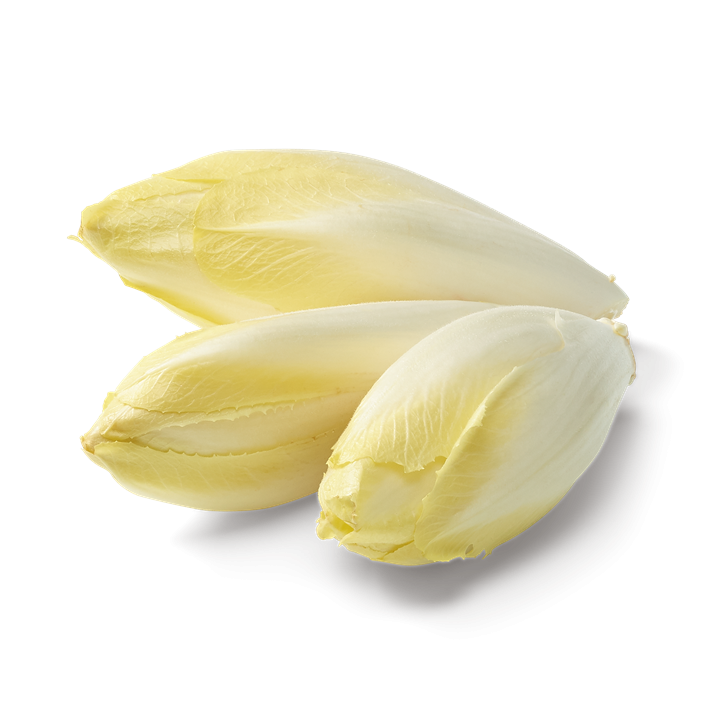 Belgian Endive 250 Grams