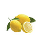 Limone Foglia Naturale 500 Grammi