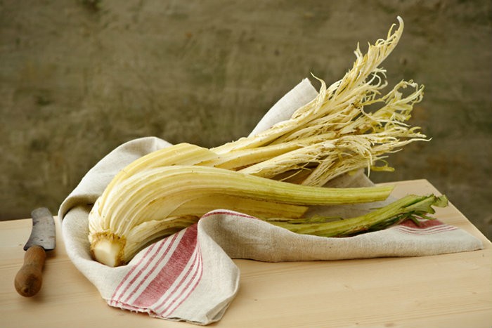 Cardo Gobbo 500 Grammi