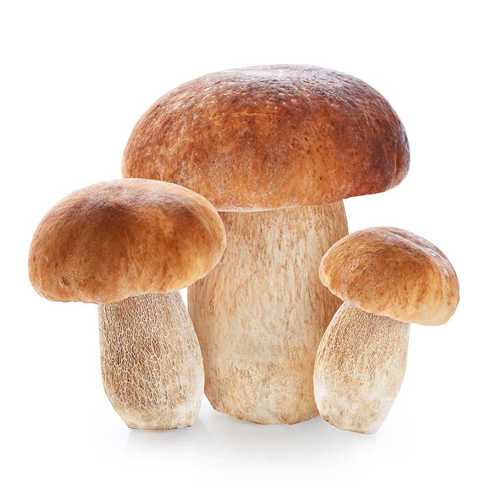 Funghi Porcini 500 Grammi