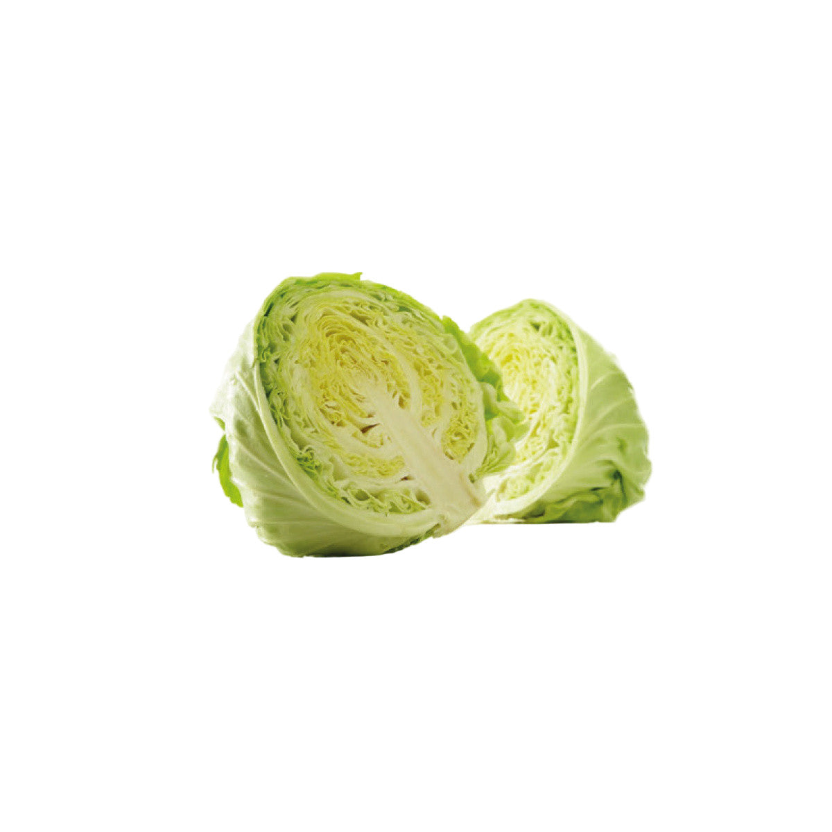 Cavolo Verza 1 Pezzo