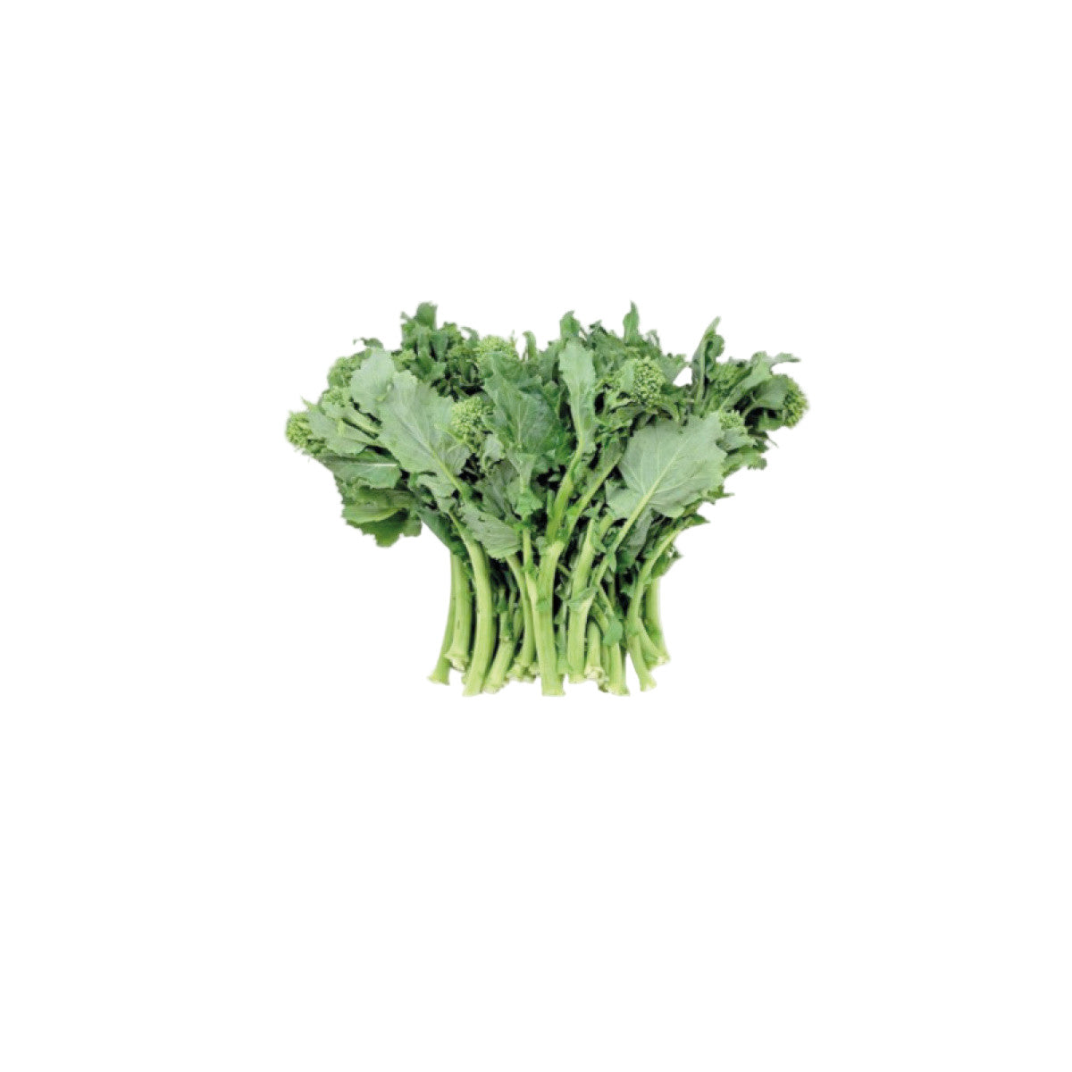 Cime di Rapa 1 Kg
