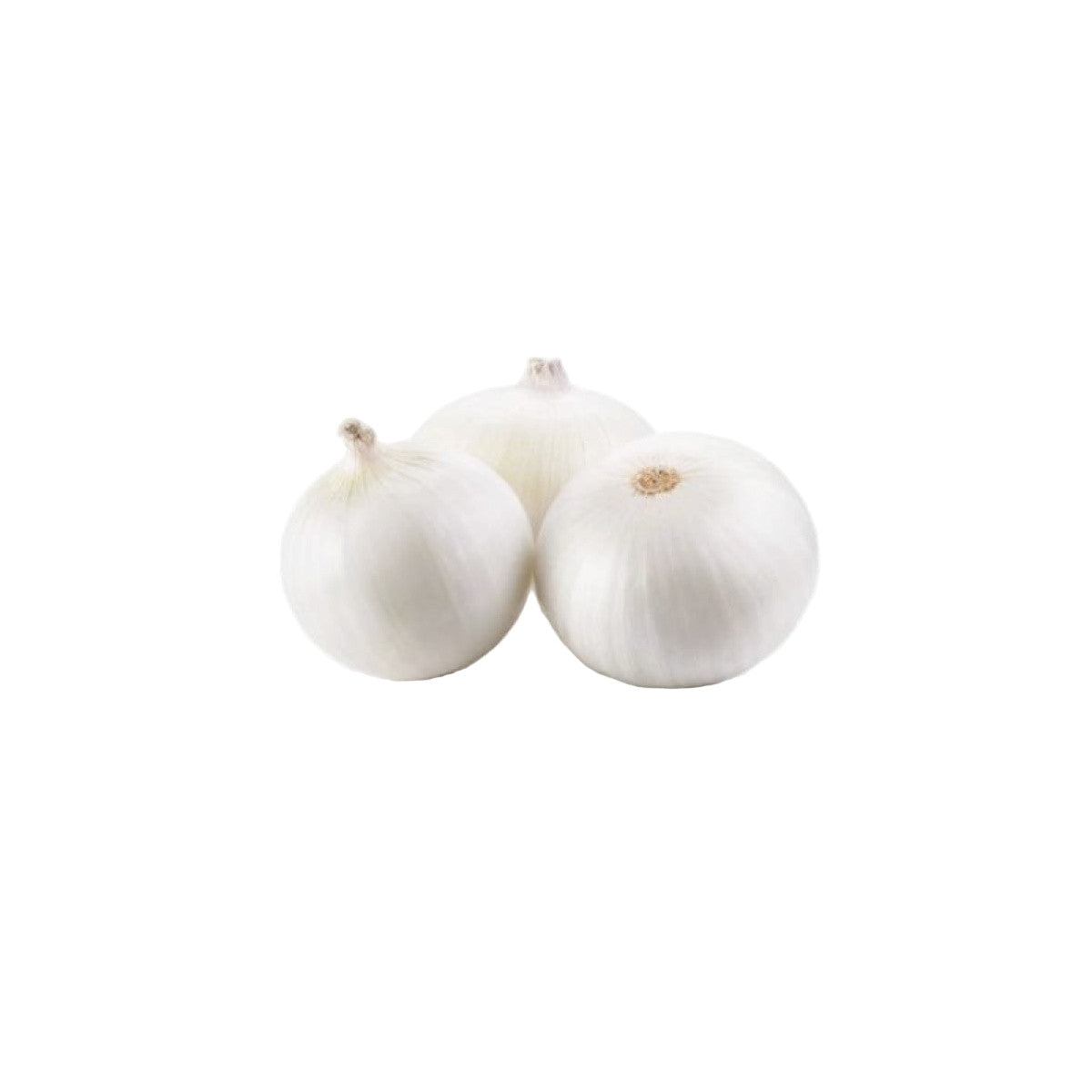 Cipolle Bianche 500 Grammi