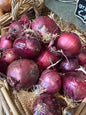 Red Onions 500 Grams