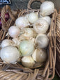 Cipolle Bianche 500 Grammi