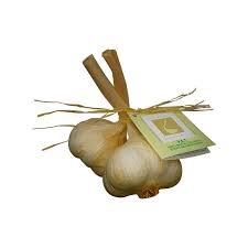 Aglio di Caraglio 1 Treccia