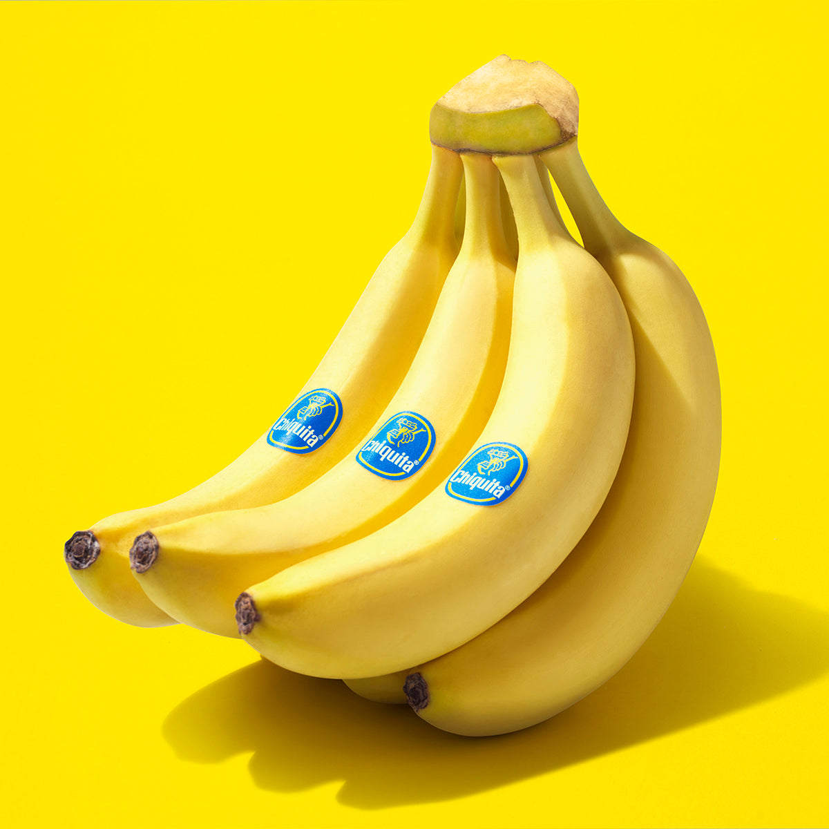 Banana Chiquita 1 Casco