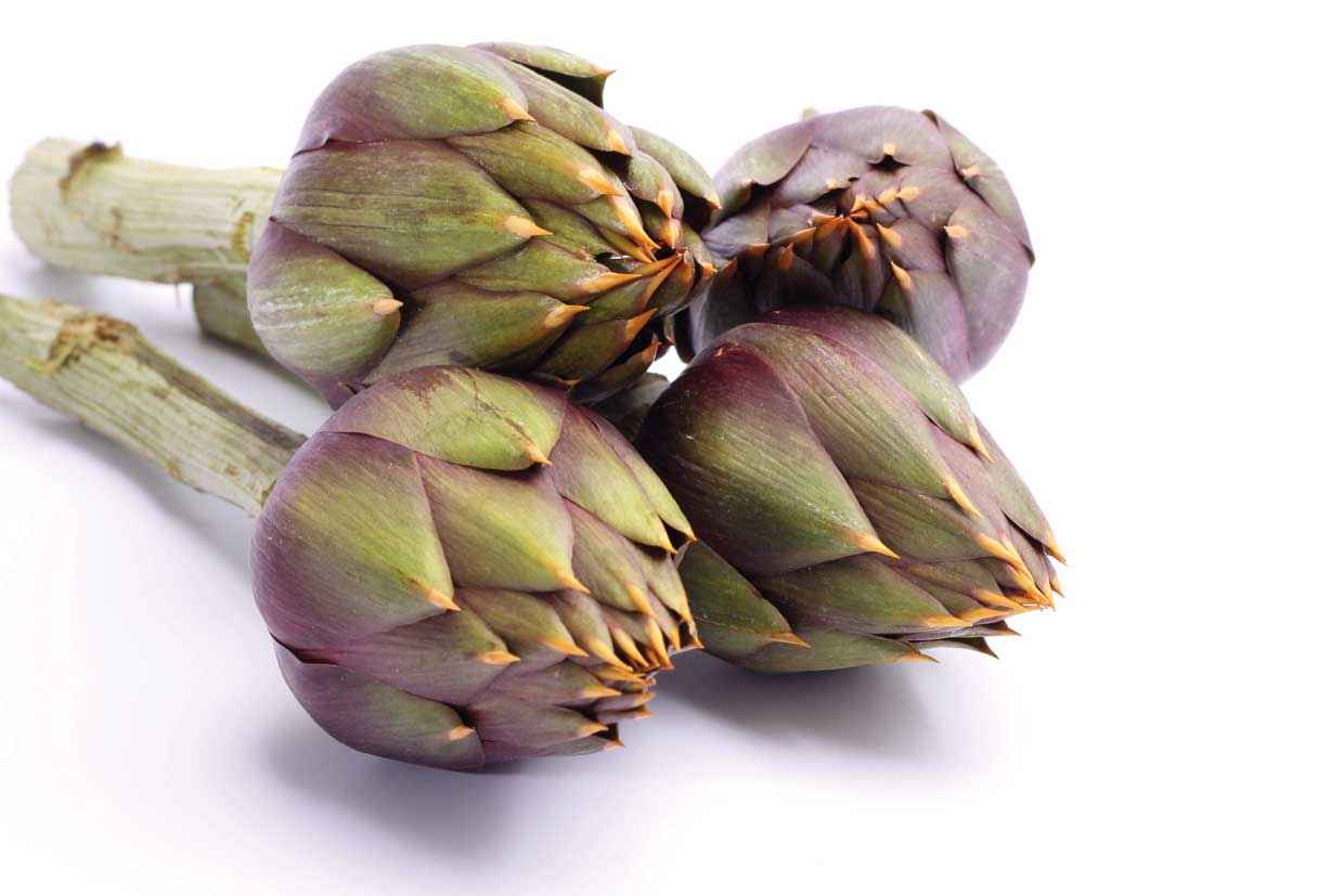 Carciofi Spina Albenga 1 Pezzo