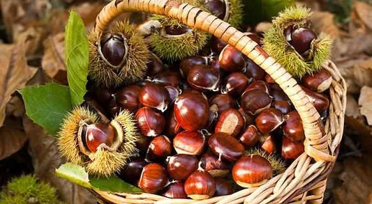 Castagne 1 Kg