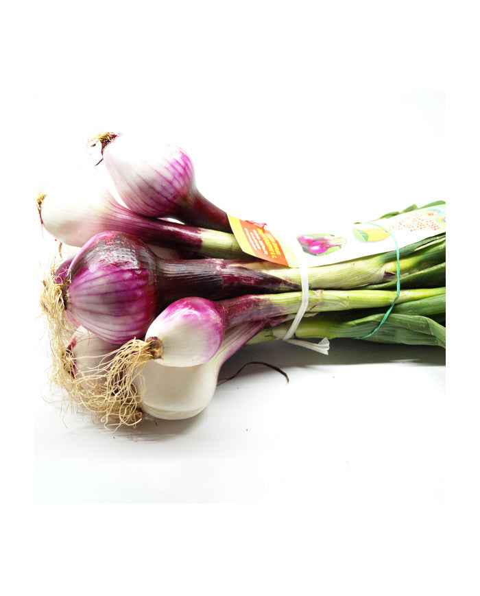 Cipollotto Tropea Fresca 500 Grammi