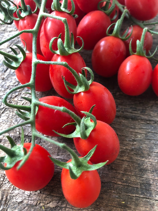 Pomodoro Datterino 500 Grammi