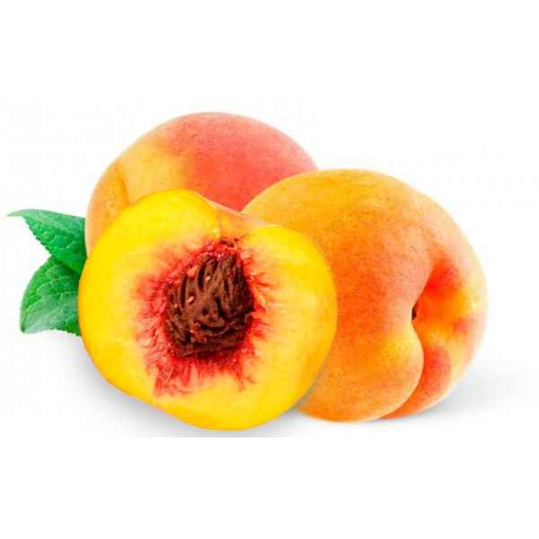 Percocca 500 Grammi