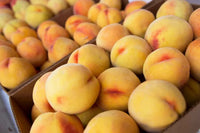 Percocca 500 Grammi