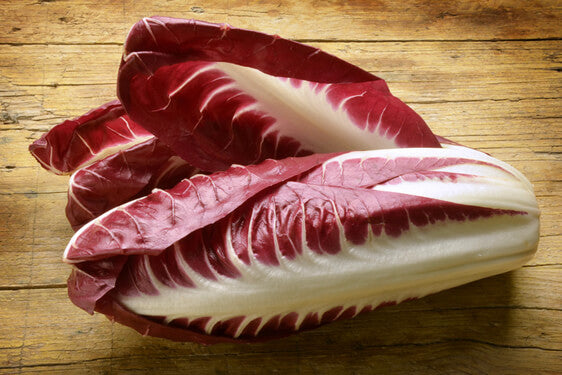 Radicchio Lungo di Treviso 500 Grammi