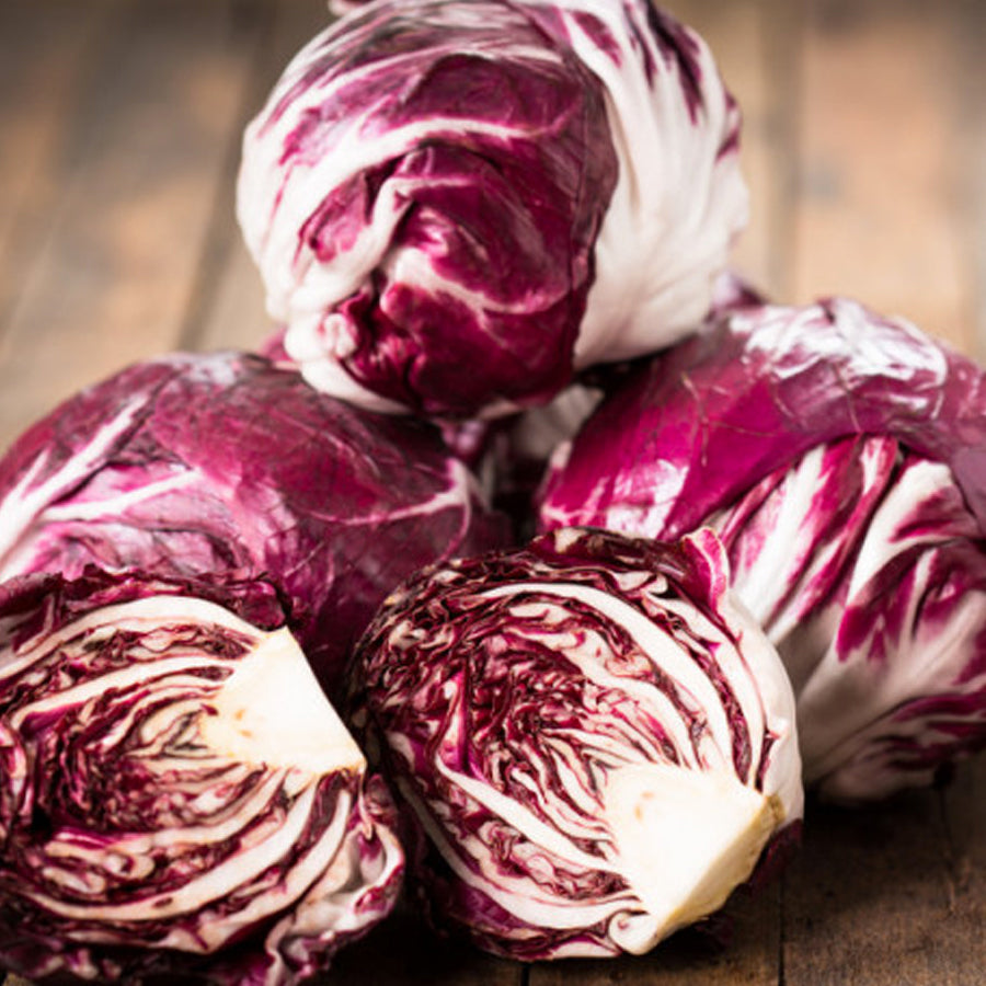 Radicchio Tondo di Chioggia 500 Grammi