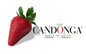 Fragole Candonga 1 Cestino