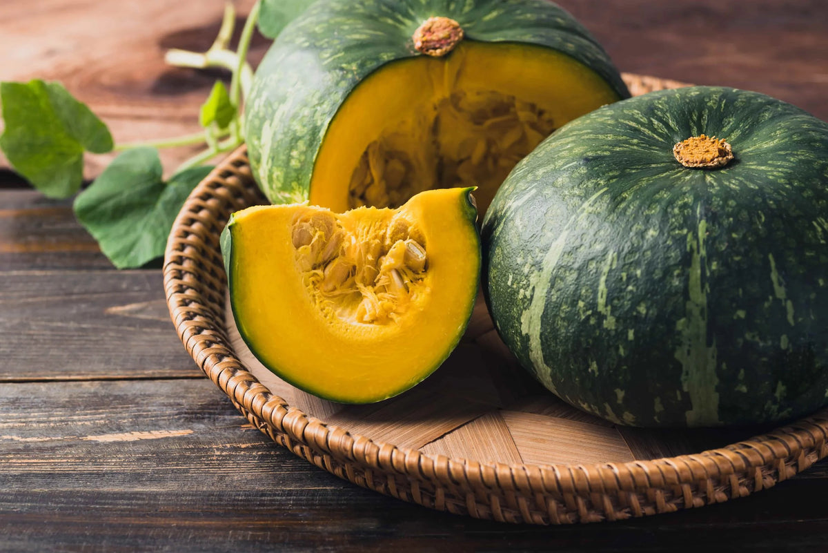 Zucca Delica 1 Pezzo
