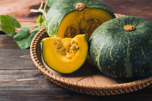 Zucca Delica 1 Pezzo